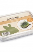 Трева Beeztees Rodent Grass за гризачи в пластмасова кутия 130 гр.