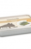 Котешка трева Beeztees Cat grass 130 гр.