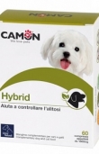 Hybrid tablets